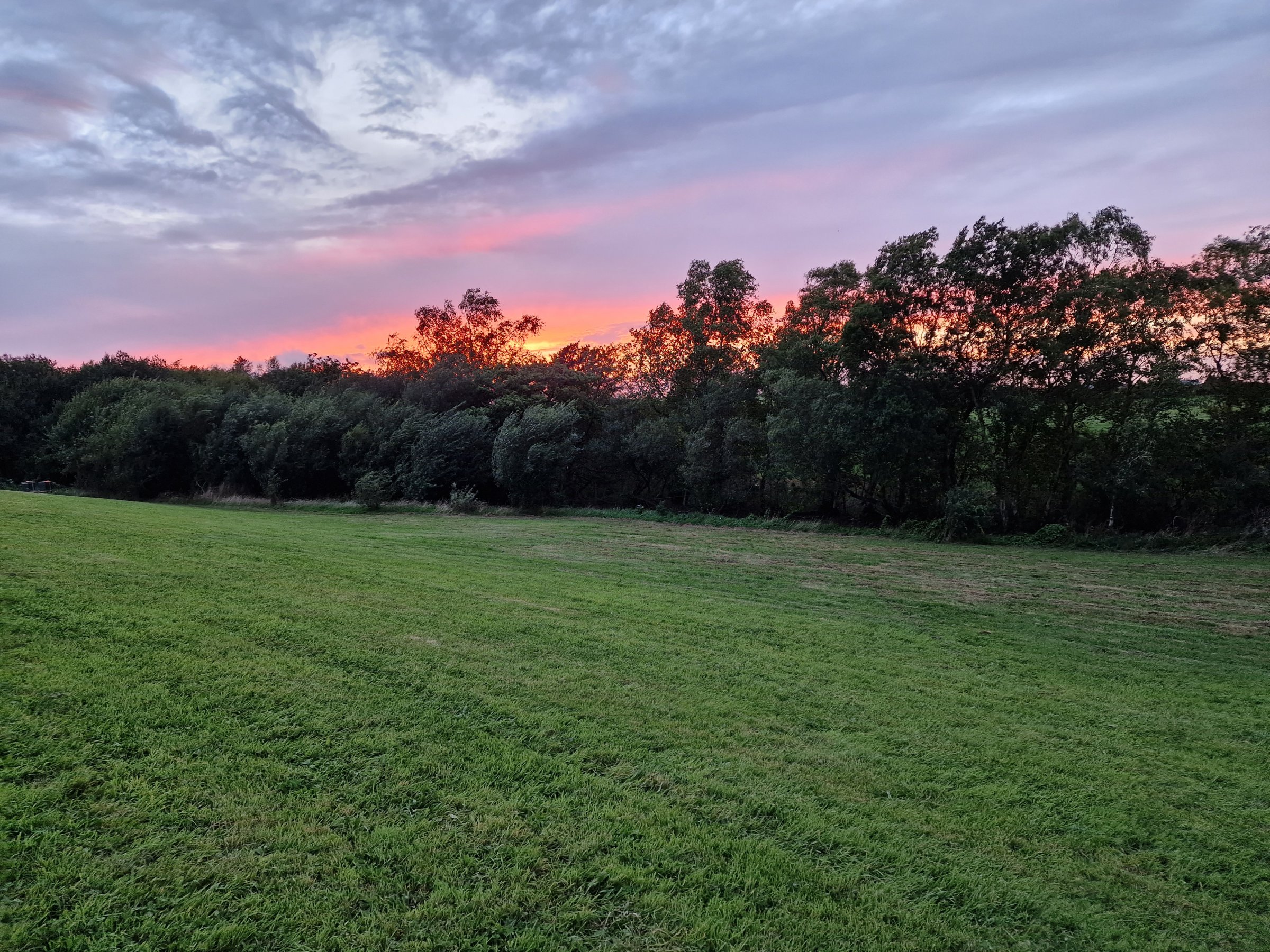 Campsite photo